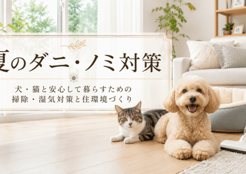 犬・猫と安心して暮らす家の掃除・湿気対策